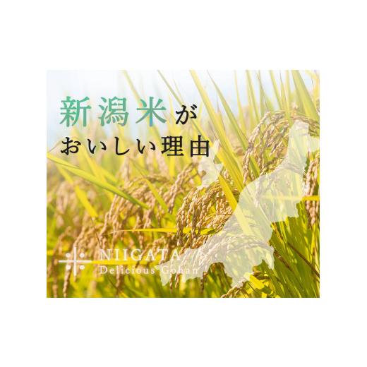 ふるさと納税 米 コシヒカリ 新潟県 見附市 6か月定期便 R7年産 新潟県産 コシヒカリ 5kg （無洗米）新潟のど真ん中 見附市 こしひかり