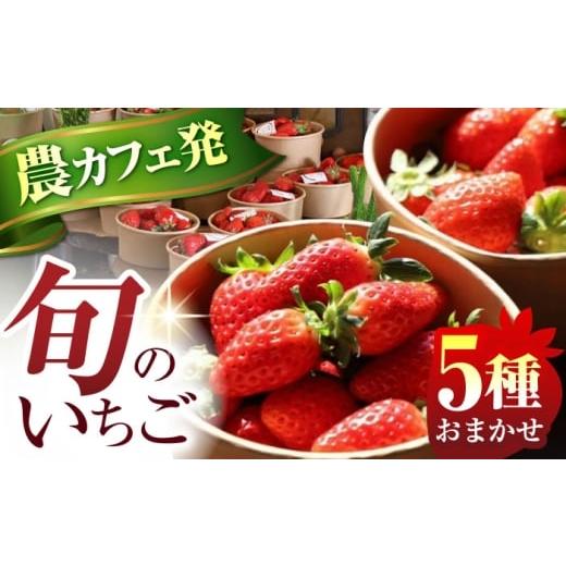 ふるさと納税 いちご 三重県 亀山市 発送月が選べる いちご 5品種 おまかせ 食べ比べセット 農 × カフェ 旬のフルーツ 亀山市 / TSUMUGI舎