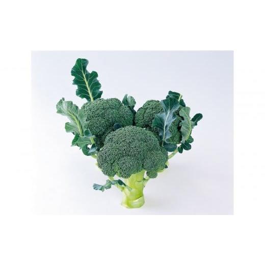 ふるさと納税 野菜類 香川県 坂出市 ブロッコリー 約2.5kg×2