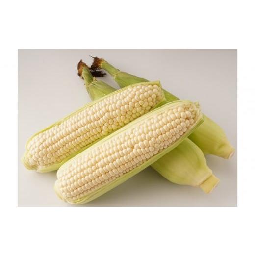 ふるさと納税 とうもろこし 香川県 坂出市 2026年6月中旬以降発送・先行予約 とうもろこし ホワイトコーン 約2.5kg×2