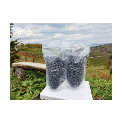 ふるさと納税 果物類 北海道 余市町 余市の砂川果樹園が贈る 訳あり冷凍ブルーベリー1Kg