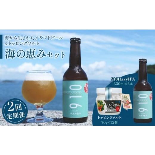 ふるさと納税 お酒 香川県 坂出市 全2回発送 日本海水 海の恵みセット( 1回目 はクラフト発泡酒「910」330 ml × 2本 2回目 はトッピングソルト70g × 1…