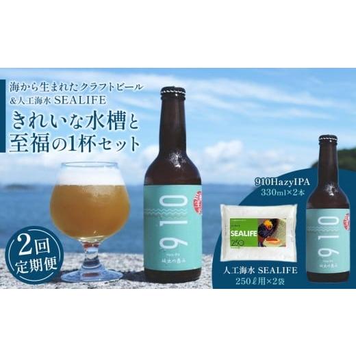 ふるさと納税 ビール 地ビール 香川県 坂出市 全2回発送 きれいな水槽と至福の1杯セット1( 1回目 はクラフト発泡酒「910」330 ml × 2本 2回目 は人工海…