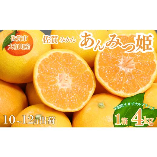 ふるさと納税 果物類 みかん 佐賀県 佐賀市 10〜12月発送 数量限定 佐賀みかん あんみつ姫 佐賀市大和町産 温州みかん:B150-075