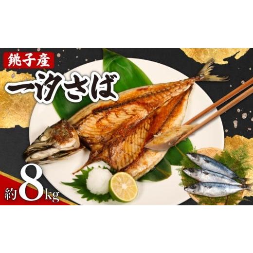 ふるさと納税 旬の鮮魚等 千葉県 銚子市 銚子産 一汐さば 8kg 銚子港 国産 塩鯖 さば 鯖 さばフィーレ 鯖フィーレ さばフィレ 鯖フィレ 新鮮 鮮度抜群 切り身 …