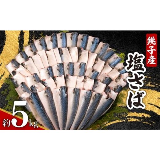 ふるさと納税 旬の鮮魚等 千葉県 銚子市 銚子産 塩さば 5kg 銚子港 国産 塩鯖 さば 鯖 さばフィーレ 鯖フィーレ さばフィレ 鯖フィレ 新鮮 鮮度抜群 切り身 切…