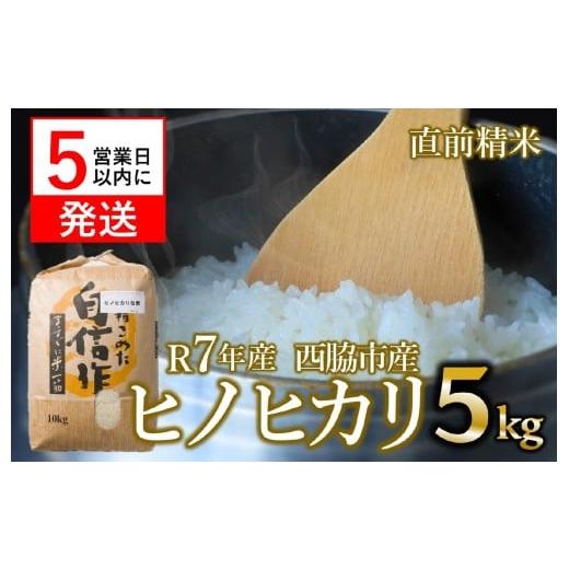 ふるさと納税 米 ヒノヒカリ 兵庫県 西脇市 スピード発送 新米 ヒノヒカリ 5kg 白米 令和7年産 米 お米 5kg 米5kg 兵庫県産 ひのひかり ヒノヒカリ 西脇市産 …