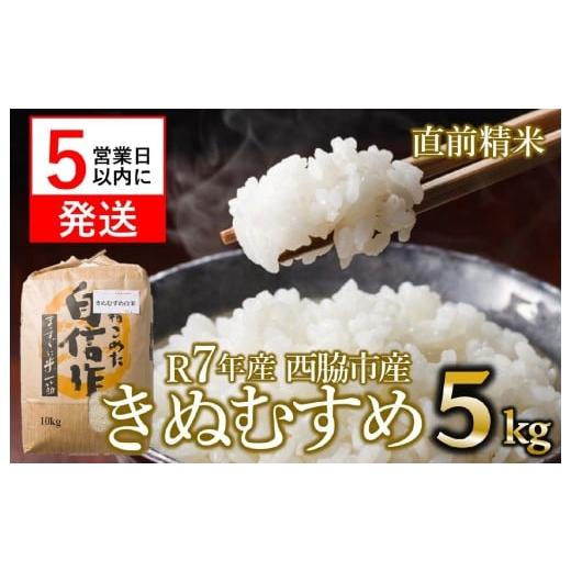 ふるさと納税 米 きぬむすめ 兵庫県 西脇市 スピード発送 新米 きぬむすめ 5kg 白米 令和7年産 米 お米 こめ コメ 人気 西脇市産 精米
