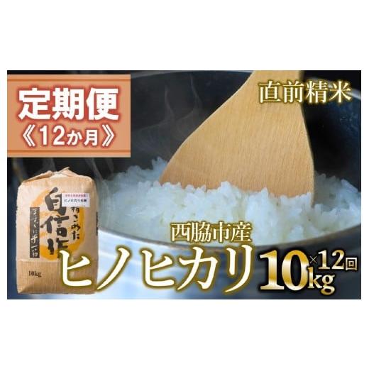 ふるさと納税 米 ヒノヒカリ 兵庫県 西脇市 定期便 12か月 ヒノヒカリ 白米10kg(12か月連続お届け)新米 2025年産 米 お米 米10kg お米10kg 兵庫県産 ひの…