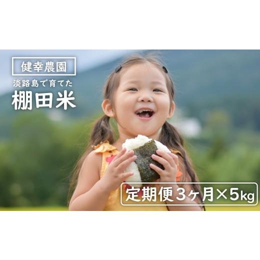 ふるさと納税 米 兵庫県 淡路市 定期便 健幸農園の棚田米 5kg×3ヵ月セット 5kg×3ヵ月