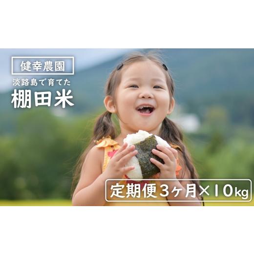 ふるさと納税 米 兵庫県 淡路市  定期便 健幸農園の棚田米 10kg×3ヵ月セット 10kg×3ヵ月の画像