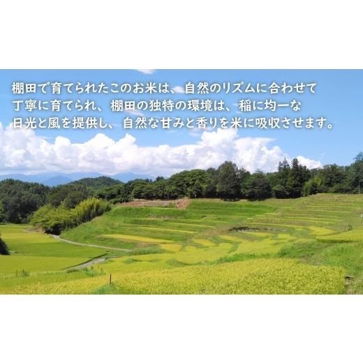 ふるさと納税 米 兵庫県 淡路市  定期便 健幸農園の棚田米 10kg×3ヵ月セット 10kg×3ヵ月の画像