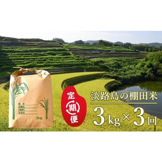 ふるさと納税 米 兵庫県 淡路市 定期便 淡路島の棚田米 3kg×3回 精米 白米 3kg×3回