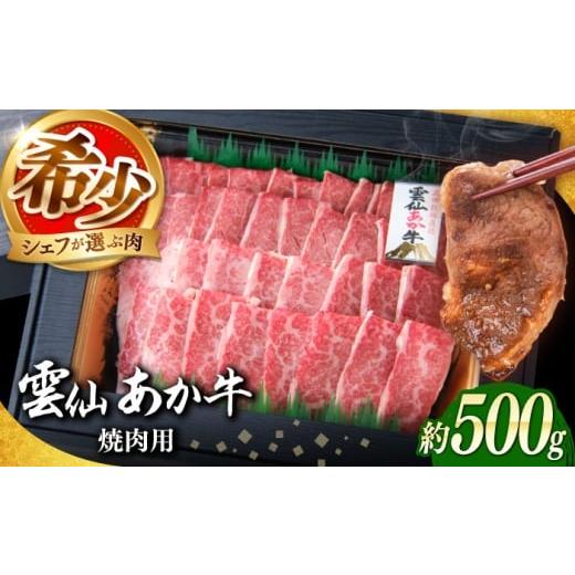ふるさと納税 牛肉 焼肉・バーベキュー 長崎県 南島原市 希少 雲仙 あか牛 焼肉用 500g / 国産 長崎和牛 牛 牛肉 冷凍 / 南島原市 / 株式会社高田牧場 SGQ…