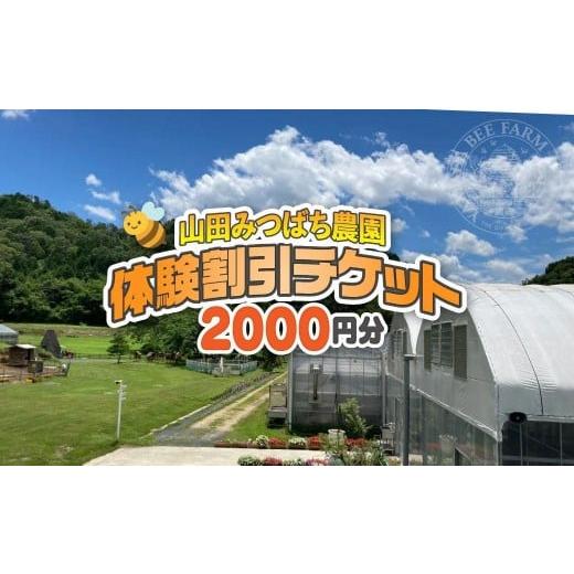 ふるさと納税 体験チケット 岡山県 鏡野町 [山田みつばち農園]体験割引チケット(2000円分)049-a001