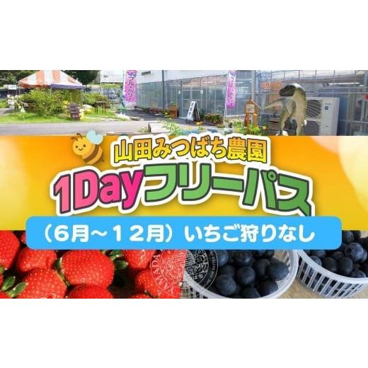 ふるさと納税 体験チケット 岡山県 鏡野町 [山田みつばち農園]1Dayフリーパス(6月〜12月) いちご狩りなし 049-a003