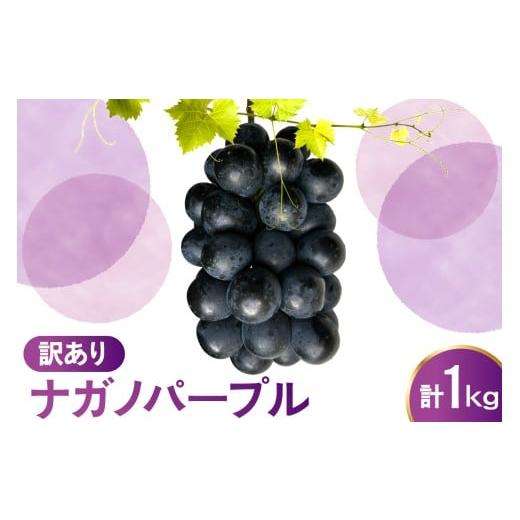 ふるさと納税 果物類 ぶどう 山形県 米沢市 先行予約 令和8年産 訳あり ぶどう ナガノパープル 1kg 2026年9月上旬頃〜お届け予定