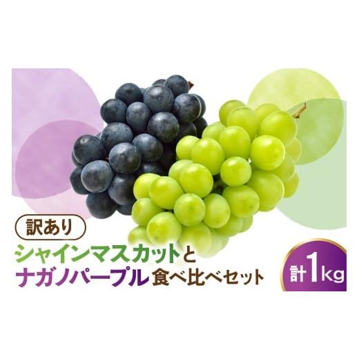 ふるさと納税 果物類 ぶどう 山形県 米沢市 先行予約 令和8年産 訳あり シャインマスカット ナガノパープル 食べ比べ セット 1kg 2026年9月上旬頃〜お届け予…