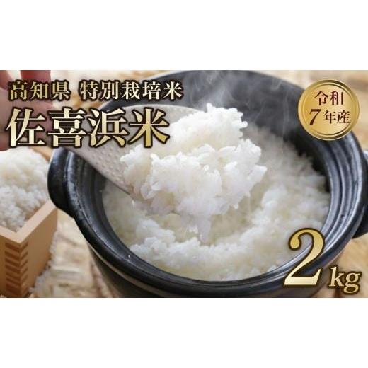 ふるさと納税 米 高知県 室戸市 新米 令和7年度産 佐喜浜米 2kg | 有機栽培米 無農薬 精米 白米 お米 ご飯 高知県産 主食 家庭用 産地直送 農家直送 高知県 …