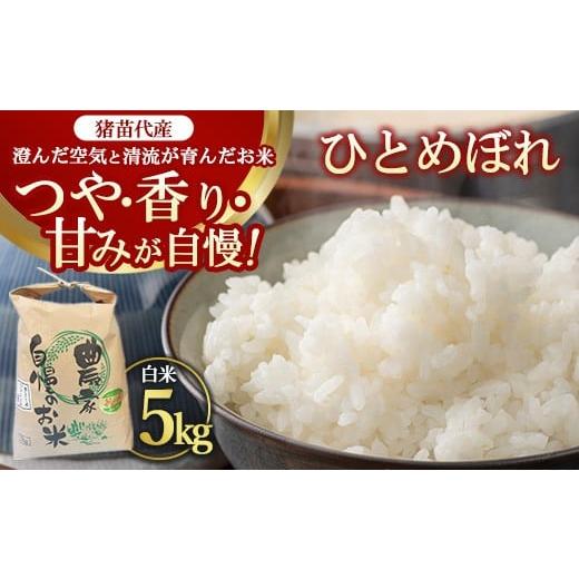 ふるさと納税 米 ひとめぼれ 福島県 猪苗代町 令和7年度産 ひとめぼれ 5kg | 白米 内野ファーム直送 猪苗代の清らかな水で育った 自慢の ひとめぼれ 沖縄・離…