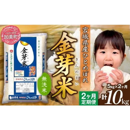 ふるさと納税 米 ひとめぼれ 宮城県 加美町 定期便 2回 金芽米 無洗米 令和7年産 宮城県産 ひとめぼれ 計10kg( 5kg ×2回) カメイ 宮城県 加美町 km-my-knm05…