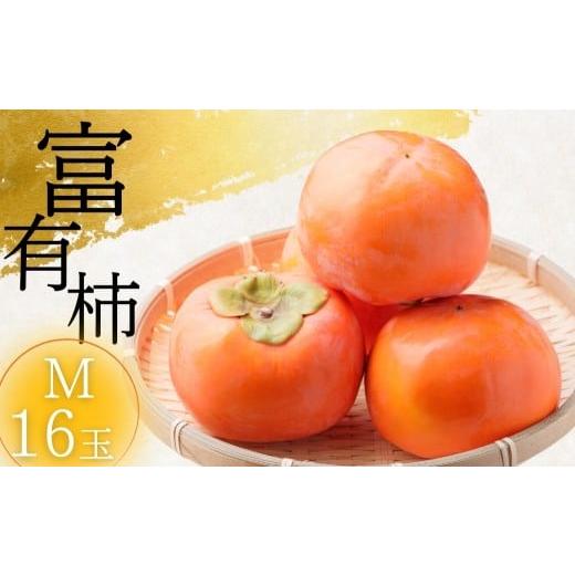 ふるさと納税 果物類 柿 岐阜県 本巣市 先行予約/令和7年産 [柿の王様]加藤果樹園の富有柿 Mサイズ 16個入り 11月下旬〜12月上旬発送予定 mt2061 柿 かき …