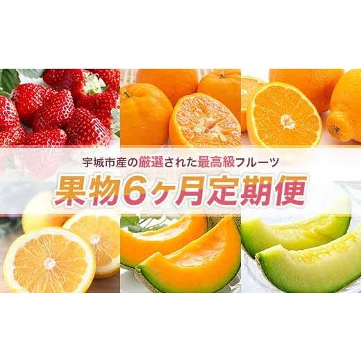 ふるさと納税 果物の詰合せ 熊本県 宇城市 先行予約 果物6か月定期便 合計6回 いちご 1kg ぽんかん 4.5kg デコポン 2kg ジューシーオレンジ 4.5kg クインシー…
