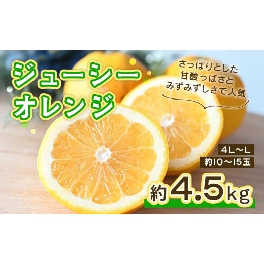 ふるさと納税 みかん・柑橘類 熊本県 宇城市 先行予約 ジューシーオレンジ 約4.5kg みかん ミカン オレンジ 蜜柑 果物 柑橘 河内晩柑 フルーツ くだもの 熊本…