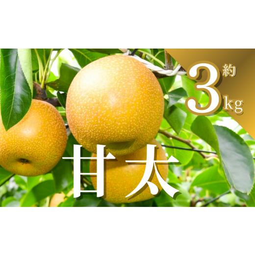 ふるさと納税 梨 栃木県 下野市 先行予約 梨 甘太 約3kg | かんた カンタ 梨 なし フルーツ 甘い みずみずしい 果実 果物 新鮮 お土産 贈り物 旬の果物 2026…