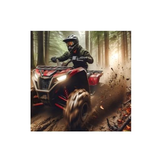 ふるさと納税 イベントやチケット等 長野県 木祖村 4月〜10月限定 やぶはら高原スキー場 バギーツアー 日帰りプラン(2名様分) 1655527