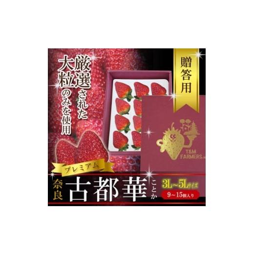 ふるさと納税 いちご 奈良県 斑鳩町 いちご 古都華・ことか 大粒 1パック(9〜15粒入り) 1689690