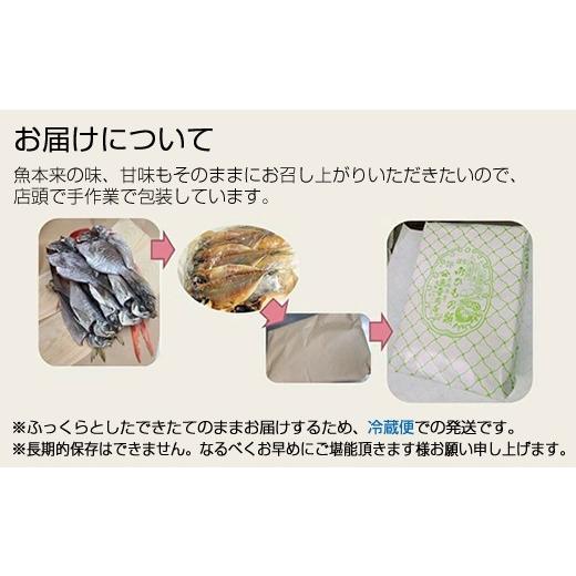 ふるさと納税 干物 神奈川県 大磯町  定期便12か月 おおいその干物Bセット（15枚以上）／ 季節で変わる旬な訳あり品 ひもの 魚 天日干し 神奈川県 大磯 湘南 …の画像