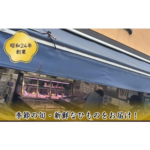 ふるさと納税 干物 神奈川県 大磯町  定期便12か月 おおいその干物Bセット（15枚以上）／ 季節で変わる旬な訳あり品 ひもの 魚 天日干し 神奈川県 大磯 湘南 …の画像