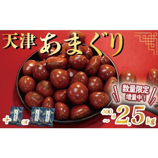ふるさと納税 和菓子 京都府 八幡市 天津 甘栗 選べる 容量 1.5kg → 2.5kg 京都 栗 くり 24年産 完熟 栗 くり 殻付き お菓子 おつまみ 甘露煮 マロン モンブ…