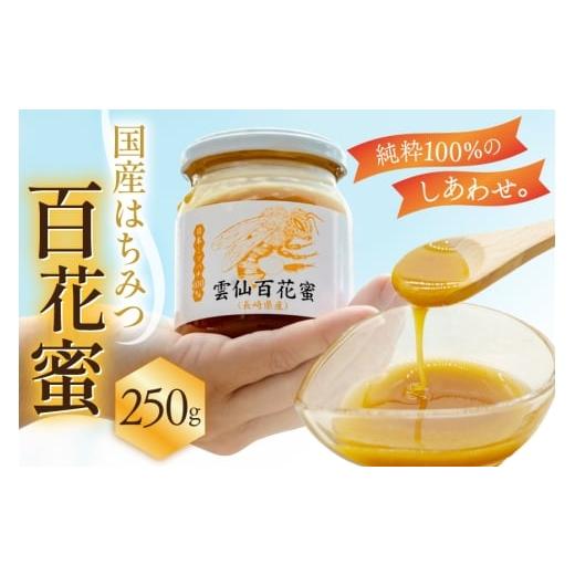 ふるさと納税 加工品等 はちみつ 長崎県 島原市 AJ443 はちみつ 国産 百花蜜 250g 1個 日本ミツバチ 純粋 100% 安中梅林を育てる会 蜂蜜 ハチミツ 非加熱 無添…