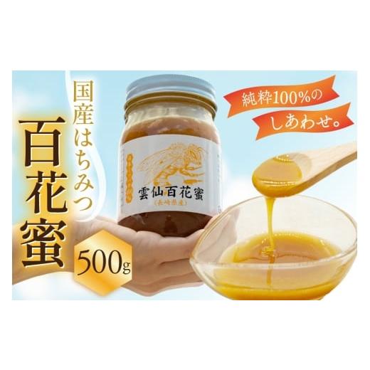 ふるさと納税 加工品等 はちみつ 長崎県 島原市 AJ445 はちみつ 国産 百花蜜 500g 1個 日本ミツバチ 純粋 100% 安中梅林を育てる会 蜂蜜 ハチミツ 非加熱 無添…の画像