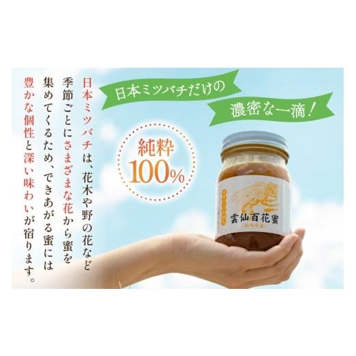 ふるさと納税 加工品等 はちみつ 長崎県 島原市 AJ445 はちみつ 国産 百花蜜 500g 1個 日本ミツバチ 純粋 100% 安中梅林を育てる会 蜂蜜 ハチミツ 非加熱 無添…の画像