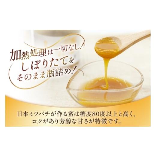 ふるさと納税 加工品等 はちみつ 長崎県 島原市 AJ445 はちみつ 国産 百花蜜 500g 1個 日本ミツバチ 純粋 100% 安中梅林を育てる会 蜂蜜 ハチミツ 非加熱 無添…の画像