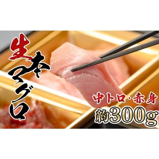 ふるさと納税 マグロ 高知県 大月町 生 本マグロ 中トロ 赤身 刺身 約300g 養殖 本まぐろ|本鮪 お刺身 刺し身 贈答用 ギフト セット 贈り物 年末 小分け トロ…