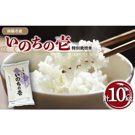 ふるさと納税 米 山形県 南陽市 金賞受賞農家 令和7年産 特別栽培米 いのちの壱 計10kg (5kg×2袋) 『あおきライスファーム』 山形南陽産 米 白米 精米 ご飯 …
