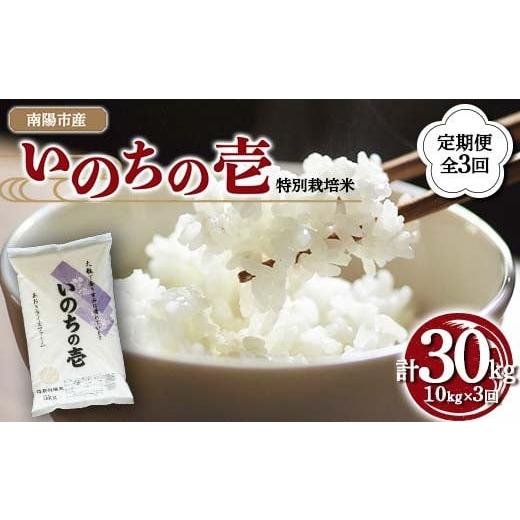 ふるさと納税 米 山形県 南陽市 金賞受賞農家 [定期便3回] 令和7年産 特別栽培米 いのちの壱 計10kg(5kg×2袋)×3か月 『あおきライスファーム』 山形南陽…