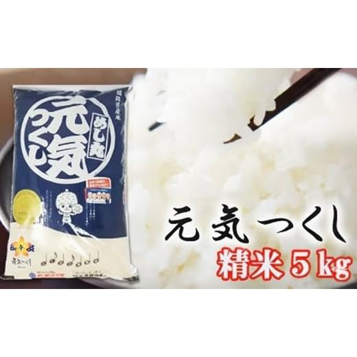 ふるさと納税 米 福岡県 小郡市 福岡県産 米 元気つくし 精米 5kg コメ お米 白米