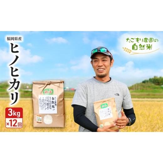 ふるさと納税 米 ヒノヒカリ 福岡県 小郡市 定期便 12ヶ月 米 たごもり農園の自然米 ヒノヒカリ 3kg 小郡産 栽培期間中 農薬不使用 お米 コメ 精米 12回 お楽…