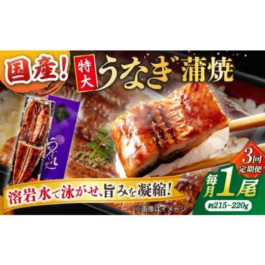 ふるさと納税 うなぎ 島根県 松江市 3回定期便 うなぎ老舗専門店のパリっとふっくら国産うなぎ 蒲焼1尾(蒲焼のタレ付き) 島根県松江市/株式会社山美世商会 A…