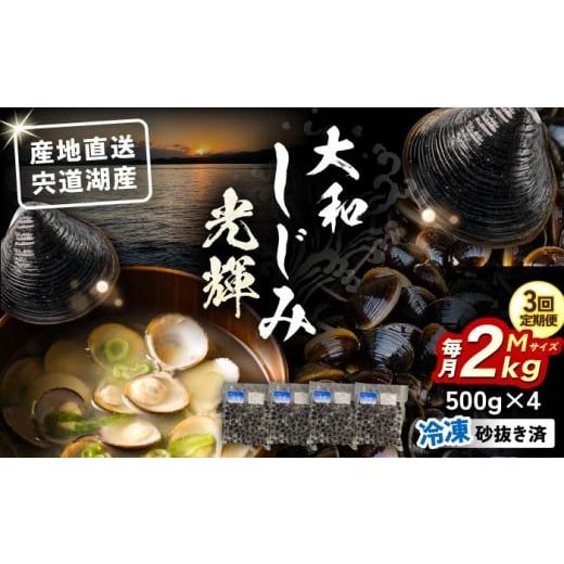ふるさと納税 魚貝類 しじみ 島根県 松江市 全3回定期便 産地直送 宍道湖産 冷凍大和しじみMサイズ2kg(500g×4) 砂抜き処理済 島根県松江市/りすたむmatsue …