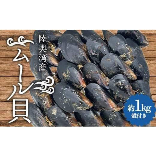 ふるさと納税 魚貝類 青森県 平内町 陸奥湾産 ムール貝 約1kg 飛佳丸 殻付き 活ムール貝 とれたて 新鮮 魚介 海鮮 漁師直送 パエリア パスタの具 青森県 平内…