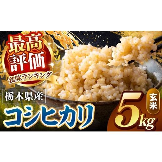 ふるさと納税 玄米 栃木県 真岡市 先行予約 令和8年度産 玄米 約5kg こしひかり | 米 お米 こめ 玄米 ご飯 ごはん もちもち コシヒカリ 栃木県 真岡市 送料無…