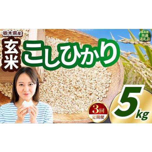 ふるさと納税 玄米 栃木県 真岡市 先行予約 定期便3回 令和8年度産 玄米 約5kg こしひかり | 真岡市産 米 お米 こめ 玄米 ご飯 ごはん もちもち コシヒカリ …