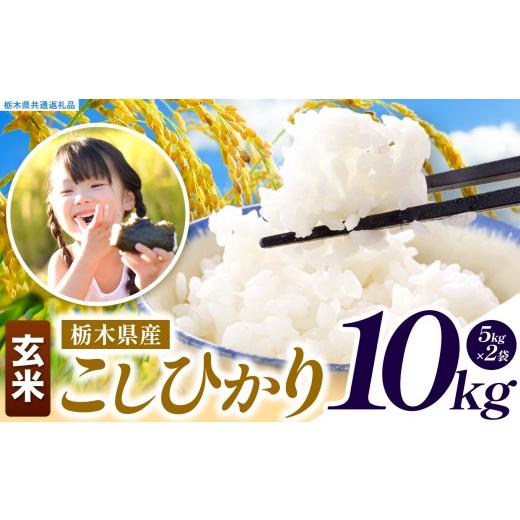 ふるさと納税 玄米 栃木県 真岡市 先行予約 令和8年度産 玄米 約10kg こしひかり | 真岡市産 米 お米 こめ 玄米 ご飯 ごはん もちもち コシヒカリ 限定 ふる…_1