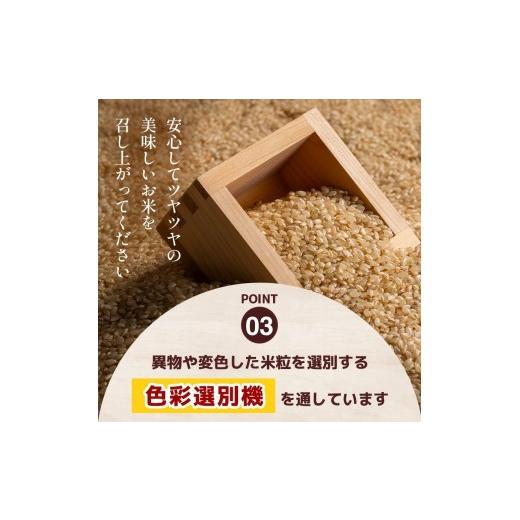ふるさと納税 玄米 栃木県 真岡市 先行予約 令和8年度産 玄米 約10kg こしひかり | 真岡市産 米 お米 こめ 玄米 ご飯 ごはん もちもち コシヒカリ 限定 ふる…_5